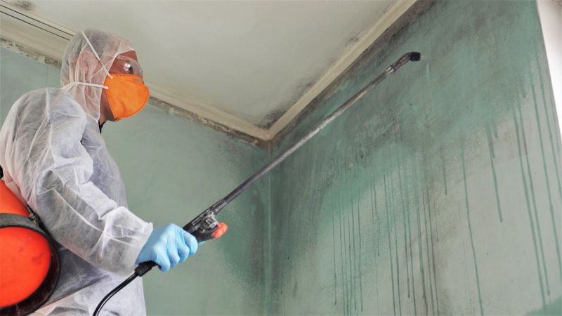 Air Duct Mold Removal in Jupiter, FL