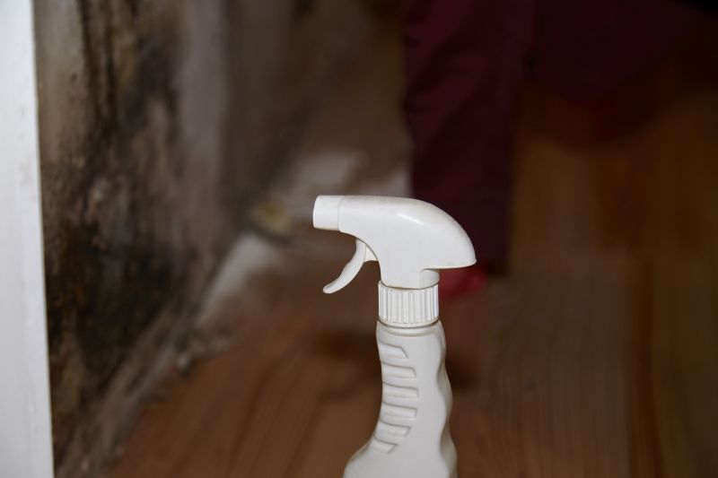 Air Duct Mold Removal in Dallas, TX