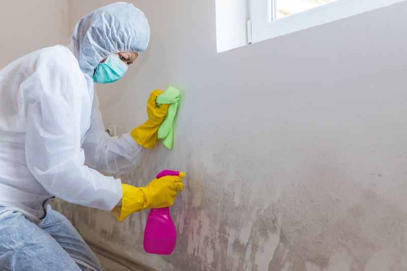 Air Duct Mold Removal in Broward County, FL