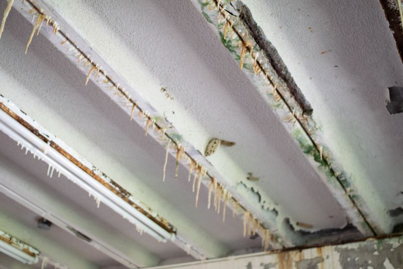 Asbestos Mitigation in Somerset County, NJ