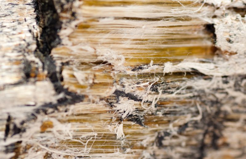 Asbestos Mitigation in Freehold, NJ