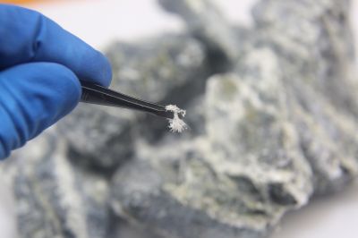 Asbestos Service in Old Bridge, NJ