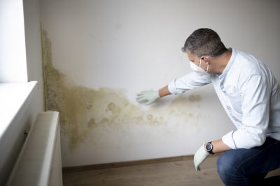 Attic Mold Remediation in Dallas, TX