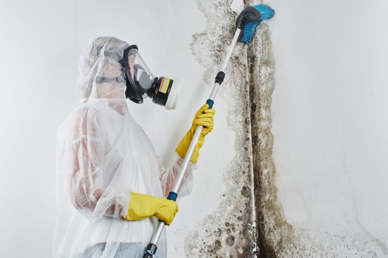 Basement Mold Remediation in Essex County, NJ