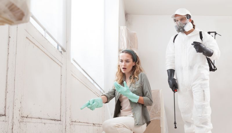 Basement Mold Remediation in Jupiter, FL