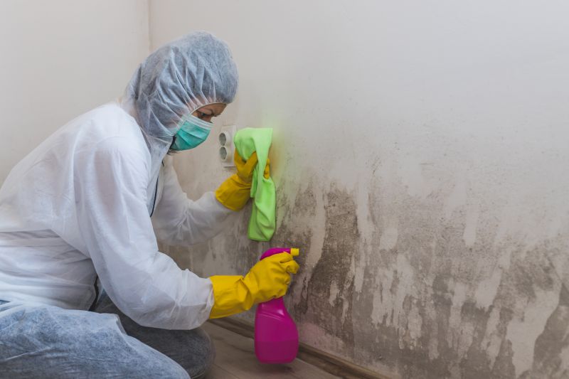 Basement Mold Removal in Boca Raton, FL