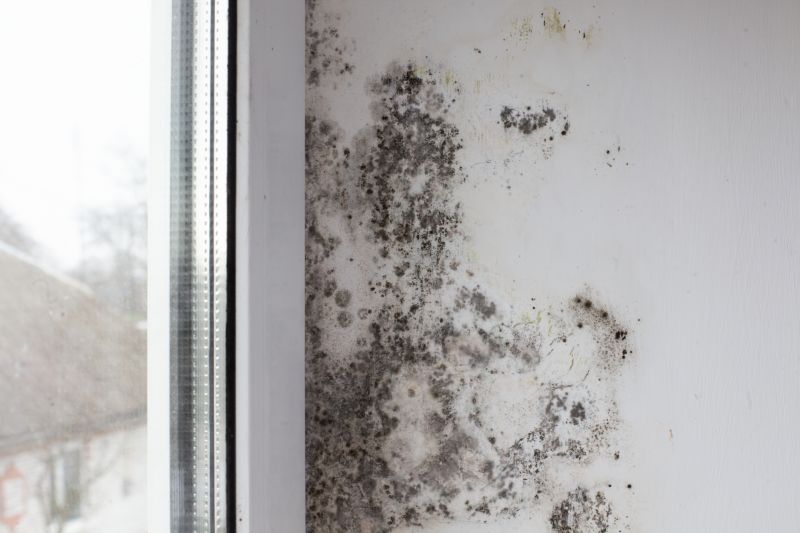 Basement Mold Removal in West Palm Beach, FL