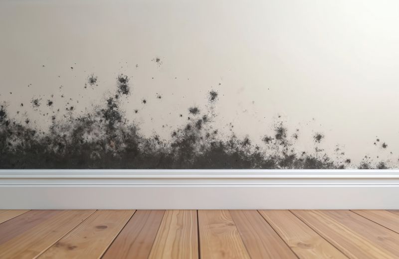 Basement Mold Removal in Fort Worth, TX
