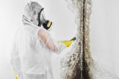 Black Mold Removal in Plano, TX