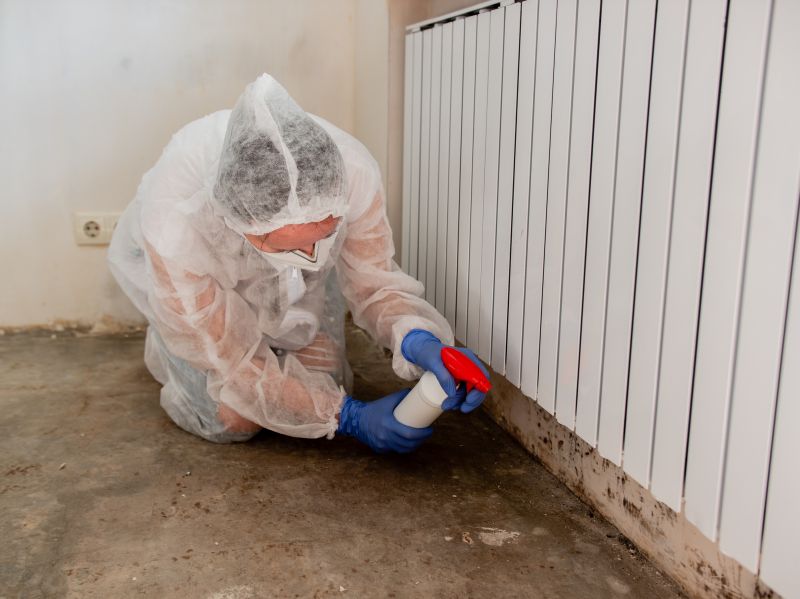 Crawlspace Mold Remediation in West Palm Beach, FL
