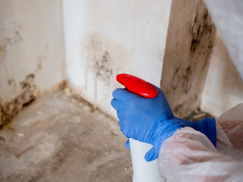 Garage Mold Remediation in Boca Raton, FL