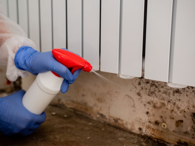 Garage Mold Remediation in Dallas, TX