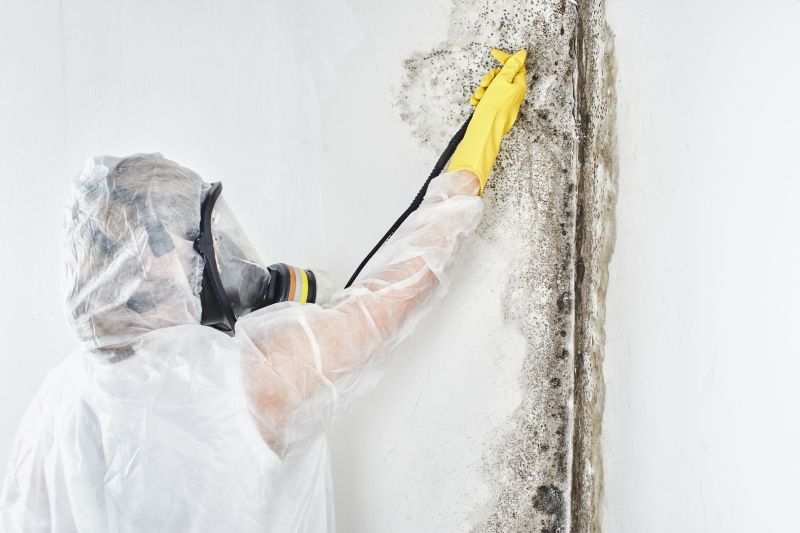 Mold Abatement in Rockwall, TX