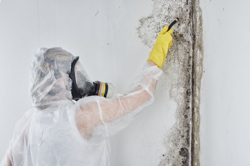 Mold Abatement in Boynton Beach, FL