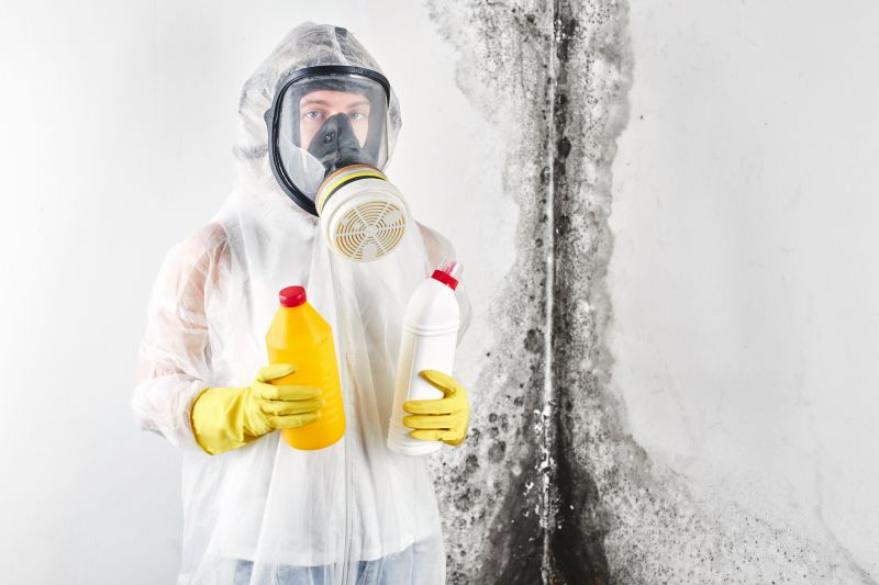 Mold Cleanup Service in Fort Worth, TX