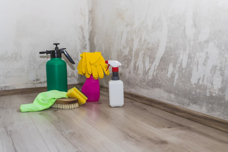 Mold Mitigation Service in Fort Worth, TX