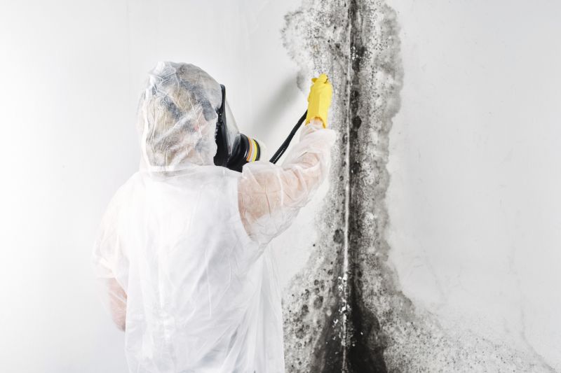Mold Remediation Service in Fort Worth, TX