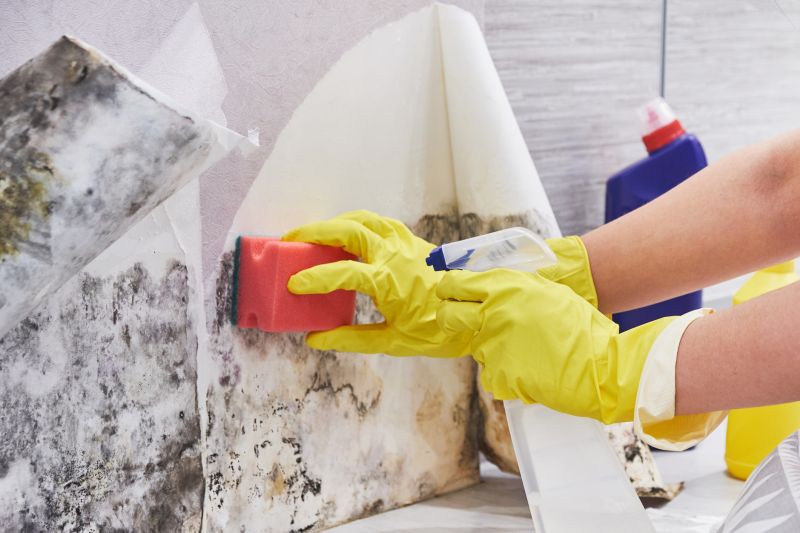 Mold Remediation Service in Jupiter, FL