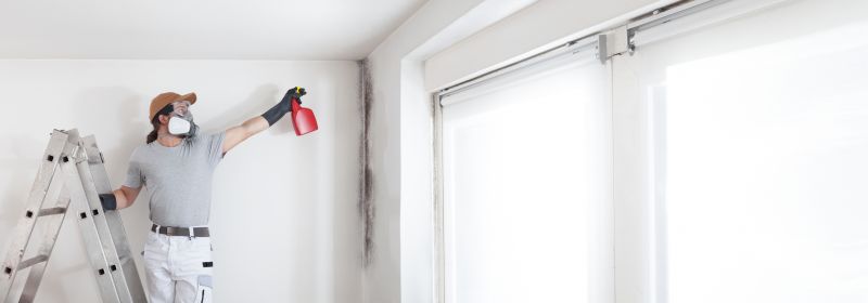 Mold Restoration in Fort Worth, TX