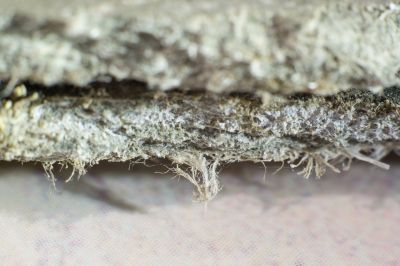 Vermiculite Remediation in Bergen County, NJ