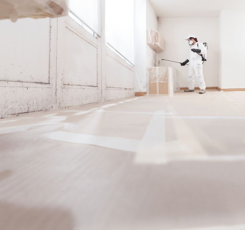 White Mold Mitigation in Essex County, NJ