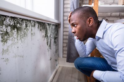 Mold Detection in West Palm Beach, FL