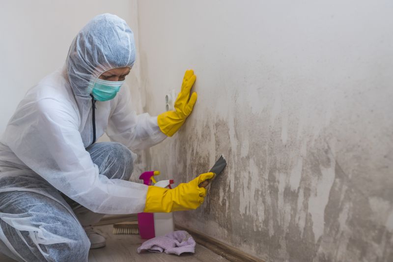 Mold Removal in Boca Raton, FL